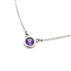 バイザヤードネックレス/アメジスト