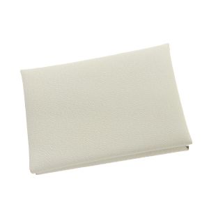 カルヴィデュオ