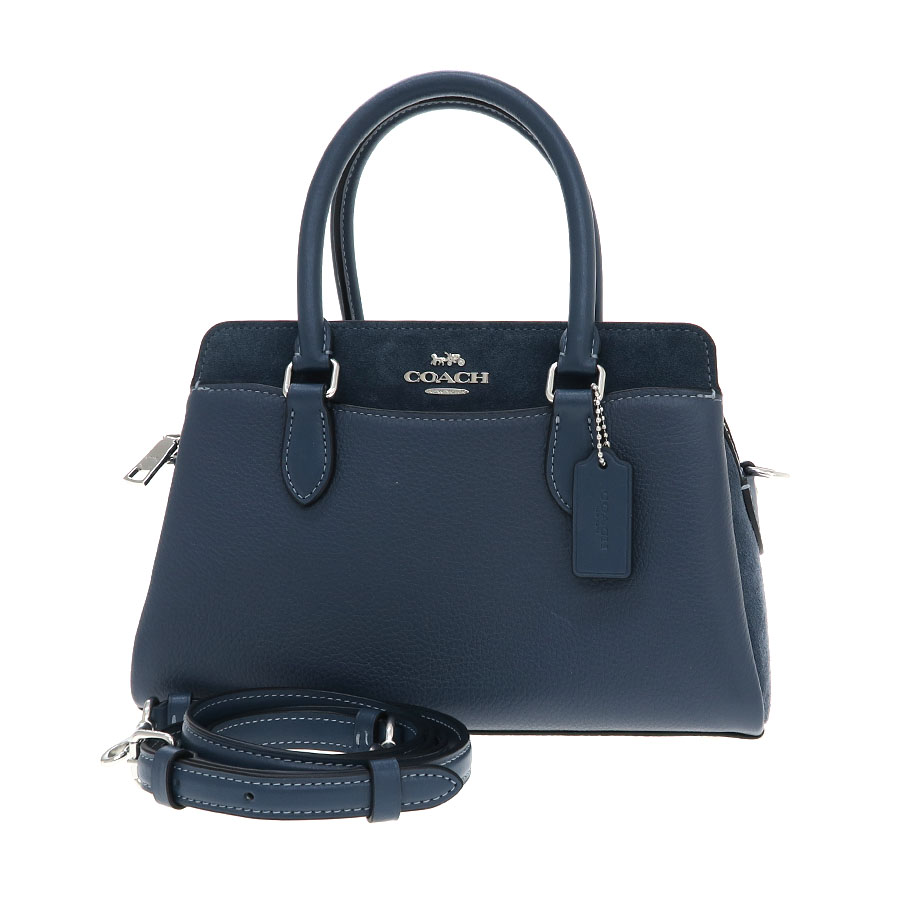 ミニ ダーシー キャリーオール