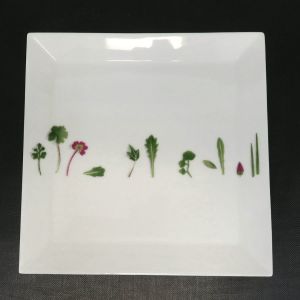 メスクラン･プレート